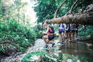 BIB: 
                            <button type="button" onclick="openModal(25448160)" class="btn btn-primary btn-sm float-right btn-popup" data-toggle="modal" data-target=".modal-high-quality">
                        <i class="fas fa-shopping-cart"></i> Add to Cart
                    </button>
                                            <button type="button" onclick="isThisMe(25448160, true)" class="btn btn-success btn-sm float-right btn-popup btn-isme hidden" data-toggle="tooltip" data-placement="bottom" title="นี่คือรูปของคุณใช่ไหม คลิกที่นี่เพื่อเอาเข้าอัลบั้ม">
                        <i class="fas fa-plus"></i> Add to album
                    </button>
                    <button type="button" onclick="isThisMe(25448160, false)" class="btn btn-warning btn-sm float-right btn-popup btn-isnotme hidden">
                        <i class="fas fa-ban"></i> Remove from album
                    </button>